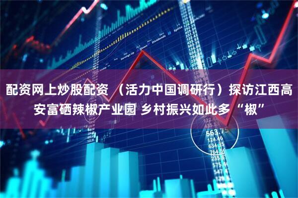 配资网上炒股配资 （活力中国调研行）探访江西高安富硒辣椒产业园 乡村振兴如此多 “椒”
